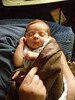 Gage-MaxsNanny > Sometimes he looks so tiny, but he's over 9 lbs. now.