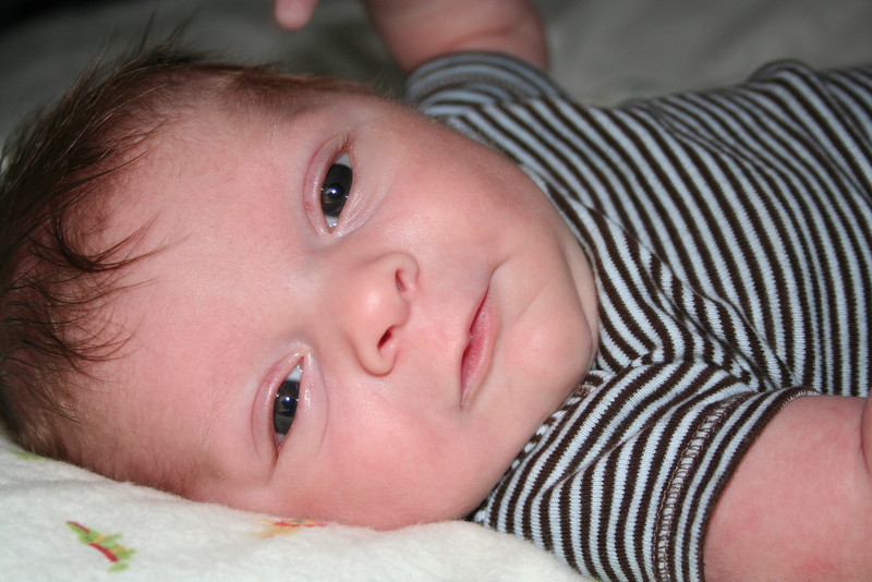 Gage-MaxsNanny > Max is getting so handsome!