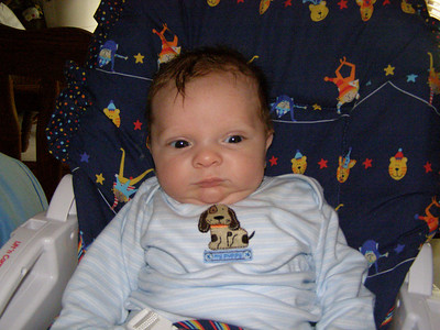  > He's growing sooo fast and getting so chunky!