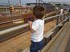 Gage-MaxsNanny > Gage photo